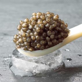 1kg Beluga Kaviar
