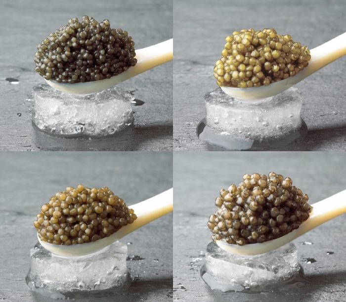 (c) Kaviar-online-shop.at
